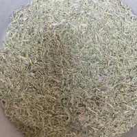 آویشن کوهی