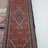 کناره نو