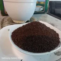 چای کله مورچه ای الاویس هیل دار وساده
