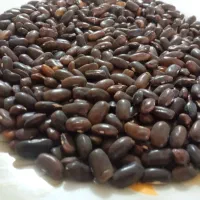 بذر لوبیا سبز