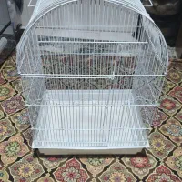 قفس طوطی بزرگ