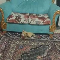 مبلمان سلطنتی هفت نفره