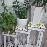 استند گل . پایه گل