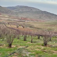 نیازمند کارگر جهت باغ