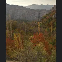 زمین-باغی-و-کشاورزی