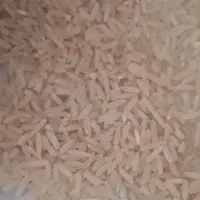فروش چلتوک شمیم دهه دار