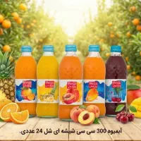 استخدام ویزیتور مواد غذایی