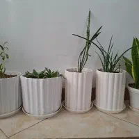 گلدان سفالی به همراه گل
