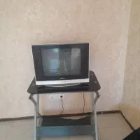 تلویزیون