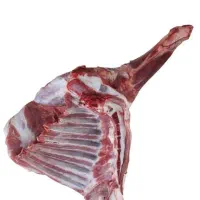 گوسفند زنده چاق و پرواری