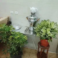 جیگرکی|کافی‌شاپ و رستوران|محلات, |دیوار