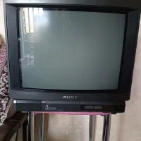 تلویزیون