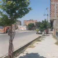 تجاری اصلی پرستار