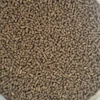 خوراک ماهی