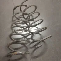 فنر دوجفت