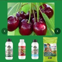 فروشگاه کود آلی ارگانیک سبوسیب کروا افزایش باردهی