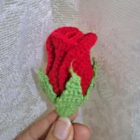 انواع گل و جاسویجی
