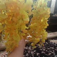 گل خارجی