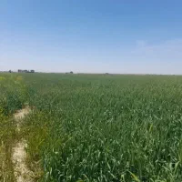 زمین-کشاورزی22هزار-متر