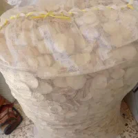 خرید وفروش موسیر