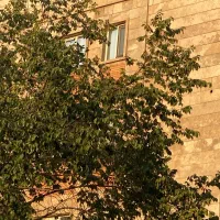 53متر فول گلبرگ غربی حیدری مومنی