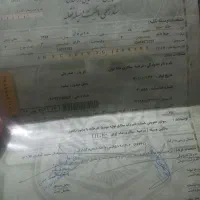 مدارک گمشده