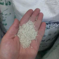 برنج طارم محلی