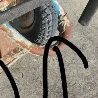 فرغون