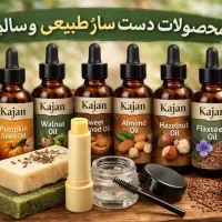 مهارت پولساز