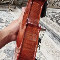 تی اف 800 tf|ویولن|اصفهان, باغ زرشک|دیوار