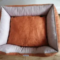جای خواب مناسب گربه