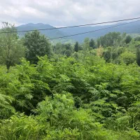 زمین-مسکونی247متر-کوهستانی-پروانه-ساخت