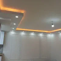 معاوظهخونهلاکچریپرندباخونهدرقم