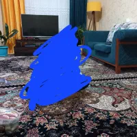 والان پرده پانچی