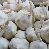 سیر سرزمین