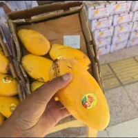 انبه عمده قلمه