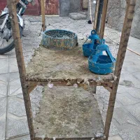 قفس دوطبقه