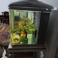 اکواریوم آب شور و شیرین