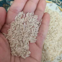 برنج هاشمی درجه یک