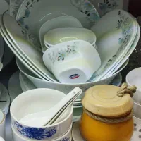 ارکوپال سرویس