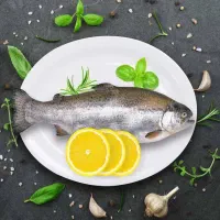 عرضه ماهی قزل آلا کالابرگی