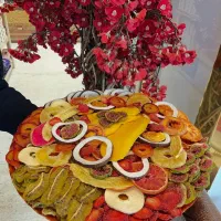 خشک کردن میوه های شما با بهترین کیفیت