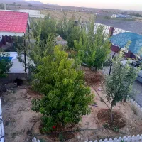 باغ ویلا