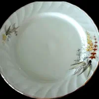 ۱۲ عدد بشقاب ژاپنی