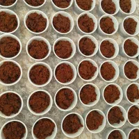 حلوا خاوری (بربری)