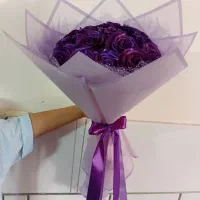 گل ربانی رزلند