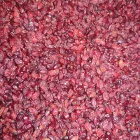 زرشک  پفکی درجه یک750