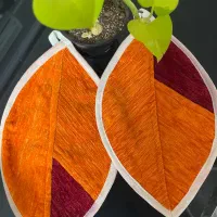 دستگیره رنگاو رنگ