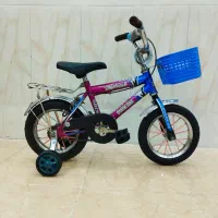 دوچرخه 12مرتب رنگ فابریک