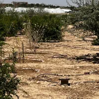 زمین کشاورزی